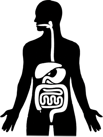 Twoje zdrowie zaczyna się w jelitach – zadbaj o florę bakteryjną jelit